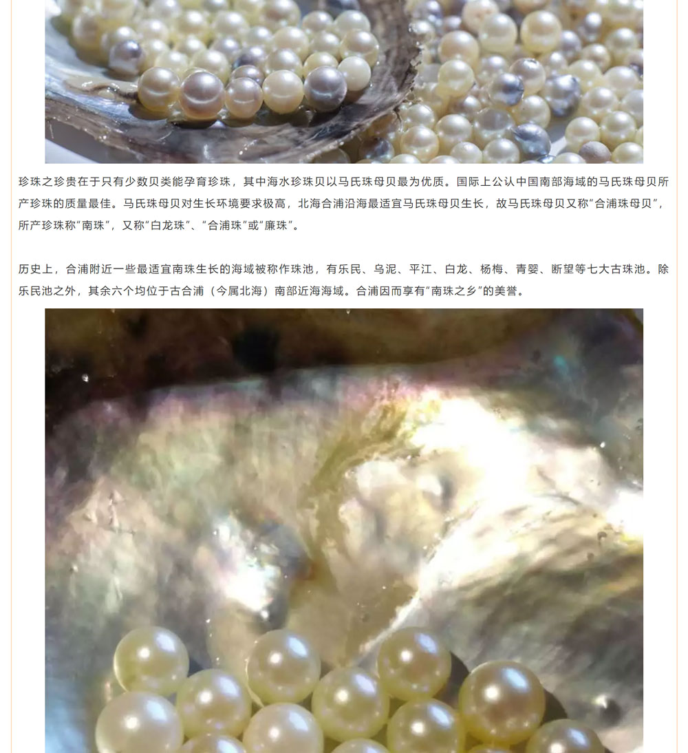 古老南珠，綻放異彩
