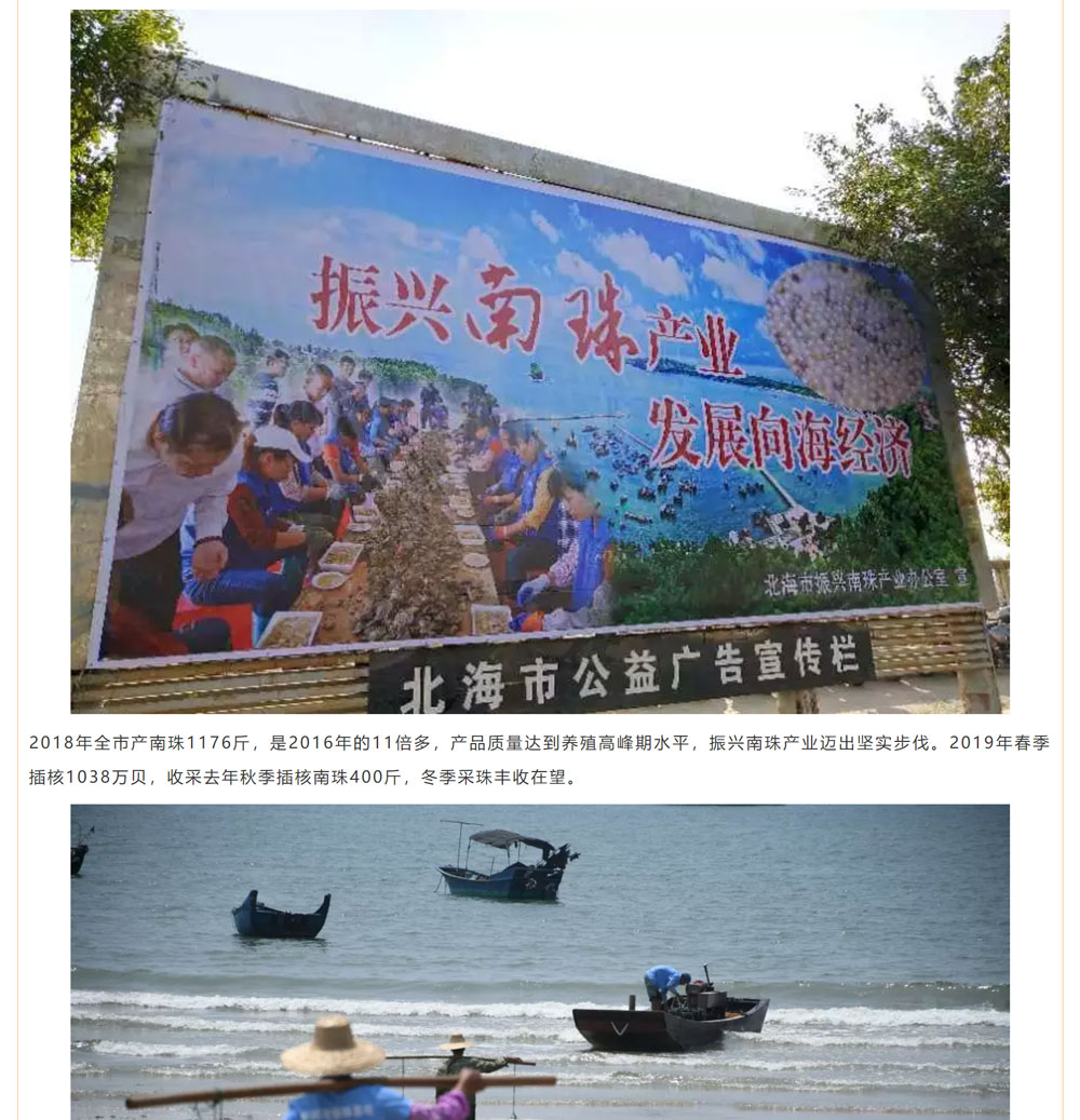 古老南珠，綻放異彩